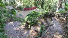 Enlarge photo 389