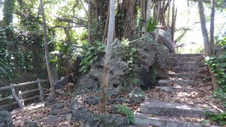 Enlarge photo 390