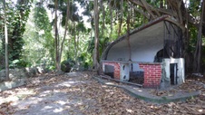 Enlarge photo 392