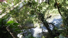 Enlarge photo 393