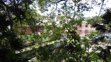 Enlarge photo 394