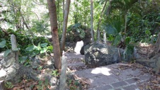 Enlarge photo 395