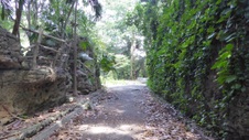 Enlarge photo 399