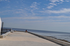 Enlarge photo 46