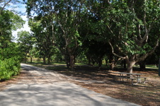 Enlarge photo 40