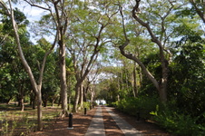 Enlarge photo 39