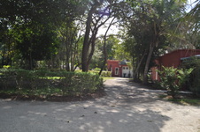 Enlarge photo 38