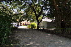 Enlarge photo 37