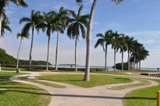Enlarge photo 30