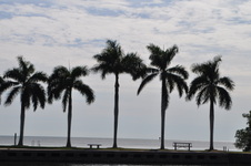 Enlarge photo 19