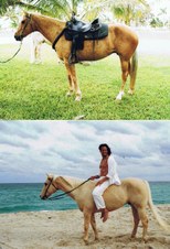 Enlarge photo 63