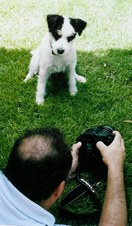 Enlarge photo 41