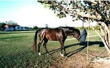 Enlarge photo 71