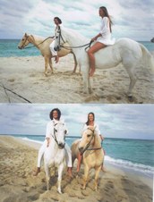Enlarge photo 69