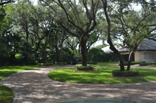 Enlarge photo 220