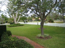 Enlarge photo 161