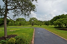 Enlarge photo 154