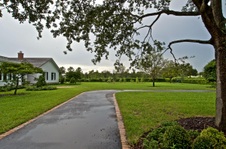 Enlarge photo 152
