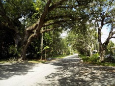 Enlarge photo 229