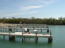 Enlarge photo 31