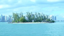 Enlarge photo 19