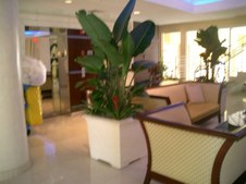 Enlarge photo 9