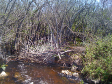 Enlarge photo 2