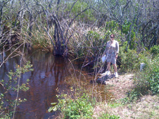 Enlarge photo 7