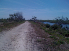 Enlarge photo 13
