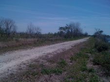 Enlarge photo 15