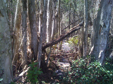 Enlarge photo 16