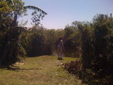 Enlarge photo 24