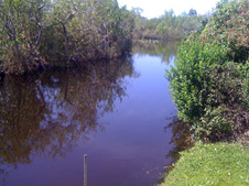 Enlarge photo 25