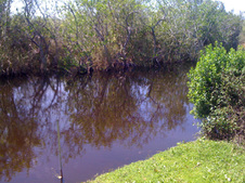 Enlarge photo 26