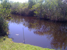 Enlarge photo 27