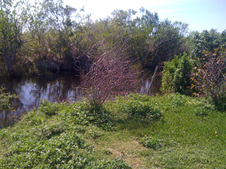 Enlarge photo 28