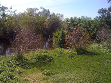 Enlarge photo 29