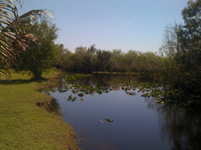 Enlarge photo 30