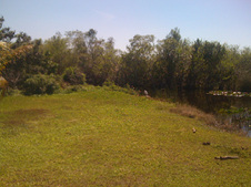 Enlarge photo 32