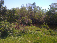 Enlarge photo 33