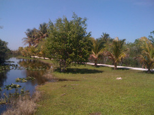 Enlarge photo 34