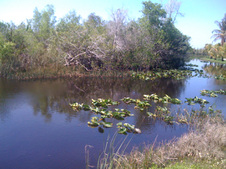 Enlarge photo 36