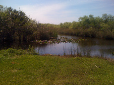 Enlarge photo 37