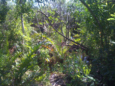 Enlarge photo 38