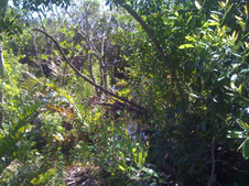 Enlarge photo 39
