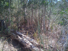 Enlarge photo 44