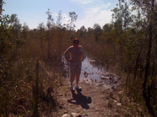 Enlarge photo 45