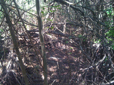 Enlarge photo 47