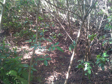 Enlarge photo 48