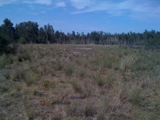 Enlarge photo 49